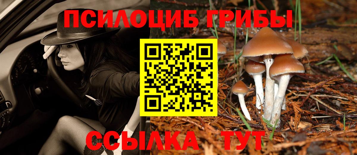 Галлюциногенные грибы мухоморы  Вход с VPN  Озёрск 